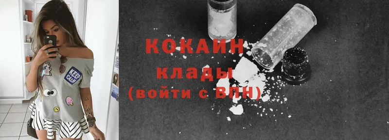 как найти   Зима  Cocaine Fish Scale 